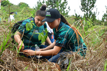 2023-02-12 Recorrido Alcalde Jornada Ambiental Todas y Todos a Sembrar