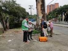 Grave agresi&oacute;n a ceiba notable en la calle quinta