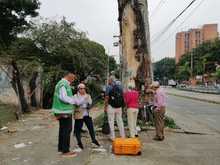 Grave agresi&oacute;n a ceiba notable en la calle quinta