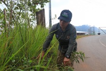 &lsquo;El Arbolito&rsquo;, un espacio para apagar &lsquo;la fiebre del oro&rsquo; y generar conciencia ambiental
