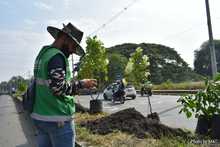 Cale&ntilde;os y cale&ntilde;as engalanaron la entrada sur de la ciudad