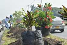 Cale&ntilde;os y cale&ntilde;as engalanaron la entrada sur de la ciudad