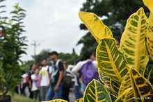 Cale&ntilde;os y cale&ntilde;as engalanaron la entrada sur de la ciudad