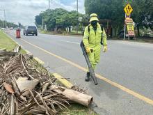 Cali se est&aacute; engalanando para ser epicentro del I Primer Encuentro Mundial de las Culturas Populare