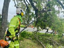 Cali se est&aacute; engalanando para ser epicentro del I Primer Encuentro Mundial de las Culturas Populare