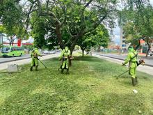 Cali se est&aacute; engalanando para ser epicentro del I Primer Encuentro Mundial de las Culturas Populare