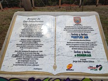 Una ceiba crecer&aacute; sana y fuerte al lado del monumento en el &lsquo;Bosque de los Estudiantes&rsquo;