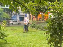 Parque de La M&uacute;sica se enluci&oacute; con jornada de limpieza y ornato