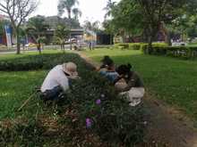 Administraci&oacute;n cale&ntilde;a transforma el cuidado y embellecimiento de los espacios p&uacute;blicos