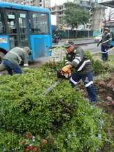 Administraci&oacute;n cale&ntilde;a transforma el cuidado y embellecimiento de los espacios p&uacute;blicos