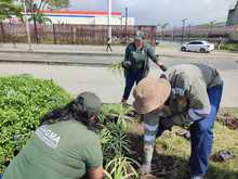 El Encuentro Mundial de las Culturas Populares estar&aacute; rodeado de diversidad, flores y colores