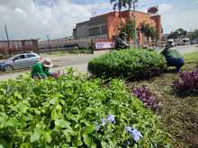 El Encuentro Mundial de las Culturas Populares estar&aacute; rodeado de diversidad, flores y colores