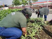 El Encuentro Mundial de las Culturas Populares estar&aacute; rodeado de diversidad, flores y colores
