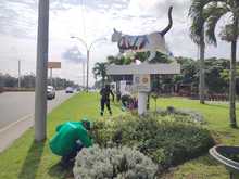 El Encuentro Mundial de las Culturas Populares estar&aacute; rodeado de diversidad, flores y colores