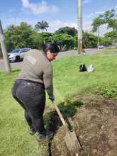 El Encuentro Mundial de las Culturas Populares estar&aacute; rodeado de diversidad, flores y colores