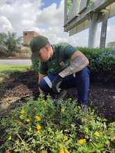 El Encuentro Mundial de las Culturas Populares estar&aacute; rodeado de diversidad, flores y colores