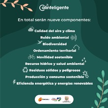 Piloto del observatorio ambiental