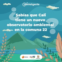 Piloto del observatorio ambiental