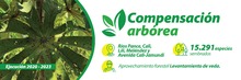 Compensaci&oacute;n arb&oacute;rea