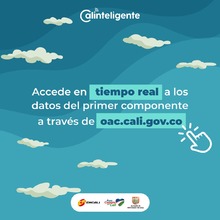 piloto del observatorio ambiental