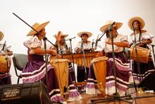 Las ilusiones de artistas y portadores de tradici&oacute;n de estar en Festival de M&uacute;sica del Pacifico Petronio 2023 iniciaron en Buenaventura