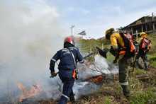 Alcald&iacute;a ofrece hasta $5 millones para capturar a responsables de incendios en &aacute;reas protegidas y en bienes p&uacute;blicos o privados 