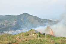 Alcald&iacute;a ofrece hasta $5 millones para capturar a responsables de incendios en &aacute;reas protegidas y en bienes p&uacute;blicos o privados 