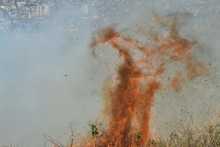 Alcald&iacute;a ofrece hasta $5 millones para capturar a responsables de incendios en &aacute;reas protegidas y en bienes p&uacute;blicos o privados 