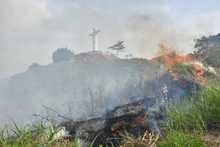 Alcald&iacute;a ofrece hasta $5 millones para capturar a responsables de incendios en &aacute;reas protegidas y en bienes p&uacute;blicos o privados 