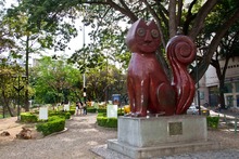 &iexcl;P&aacute;rchate en Cali sin gastar un peso y descubre su incre&iacute;ble oferta tur&iacute;stica!