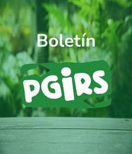 boletin pgirs