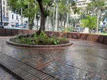 La Edru participa de forma activa en la renovaci&oacute;n de la Plaza de Cayzedo