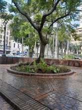 La Edru participa de forma activa en la renovaci&oacute;n de la Plaza de Cayzedo