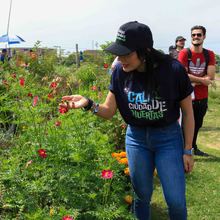 Huertas comunitarias recibieron visita &lsquo;en familia&rsquo; del equipo de Gobierno 