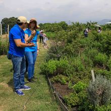 Huertas comunitarias recibieron visita &lsquo;en familia&rsquo; del equipo de Gobierno 