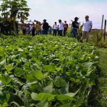 Huertas comunitarias recibieron visita &lsquo;en familia&rsquo; del equipo de Gobierno 