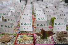 Desarrollo Econ&oacute;mico celebra el &lsquo;D&iacute;a Internacional del Reciclaje&rsquo;