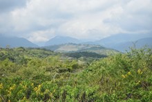 &lsquo;Coraz&oacute;n de Pance&rsquo;: una apuesta de ciudad para la mitigaci&oacute;n y adaptaci&oacute;n al cambio clim&aacute;tico