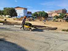 Empez&oacute; a reverdecer el Bulevar de Oriente