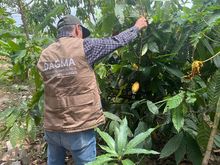 Dagma contin&uacute;a con el acompa&ntilde;amiento a huerteros y huerteras de Cali