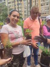 La Plaza de Cayzedo se convirti&oacute; en una gran aula ambiental