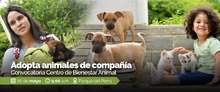 Plantilla_HomeWeb_Alcaldi?aCali_2023