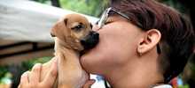 Una cita con el amor: cale&ntilde;os se sumaron a la gran jornada de adopci&oacute;n de animales del CBA