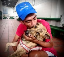 Con&eacute;ctese este jueves 25 de mayo a la rendici&oacute;n de cuentas de la Secretar&iacute;a de Bienestar Social