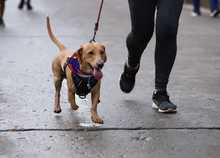 En Cali se corrieron 3 kil&oacute;metros donde la familia fue protagonista