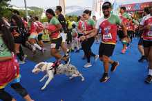 En fotos: adrenalina, alegr&iacute;a, deporte y diversi&oacute;n en la CicloVida RUN 7K de la Familia