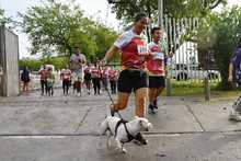 En fotos: adrenalina, alegr&iacute;a, deporte y diversi&oacute;n en la CicloVida RUN 7K de la Familia