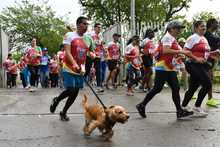 En fotos: adrenalina, alegr&iacute;a, deporte y diversi&oacute;n en la CicloVida RUN 7K de la Familia