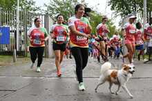 En fotos: adrenalina, alegr&iacute;a, deporte y diversi&oacute;n en la CicloVida RUN 7K de la Familia