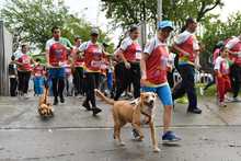 En fotos: adrenalina, alegr&iacute;a, deporte y diversi&oacute;n en la CicloVida RUN 7K de la Familia